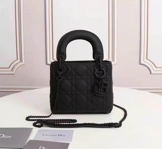 DIOR Handbags 424